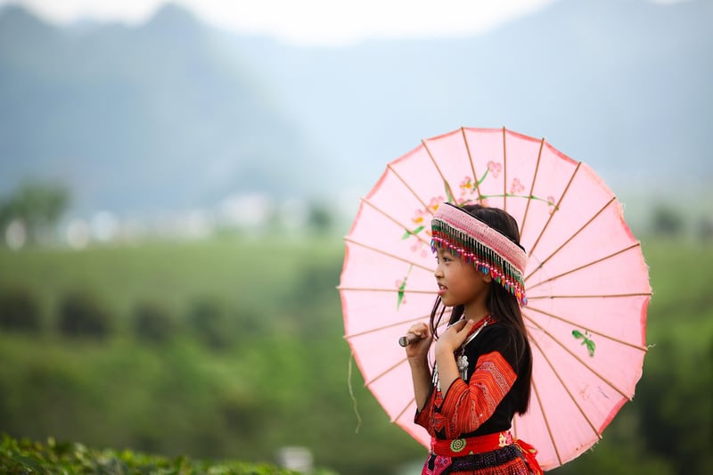 Vietnamese-Greek Fusion